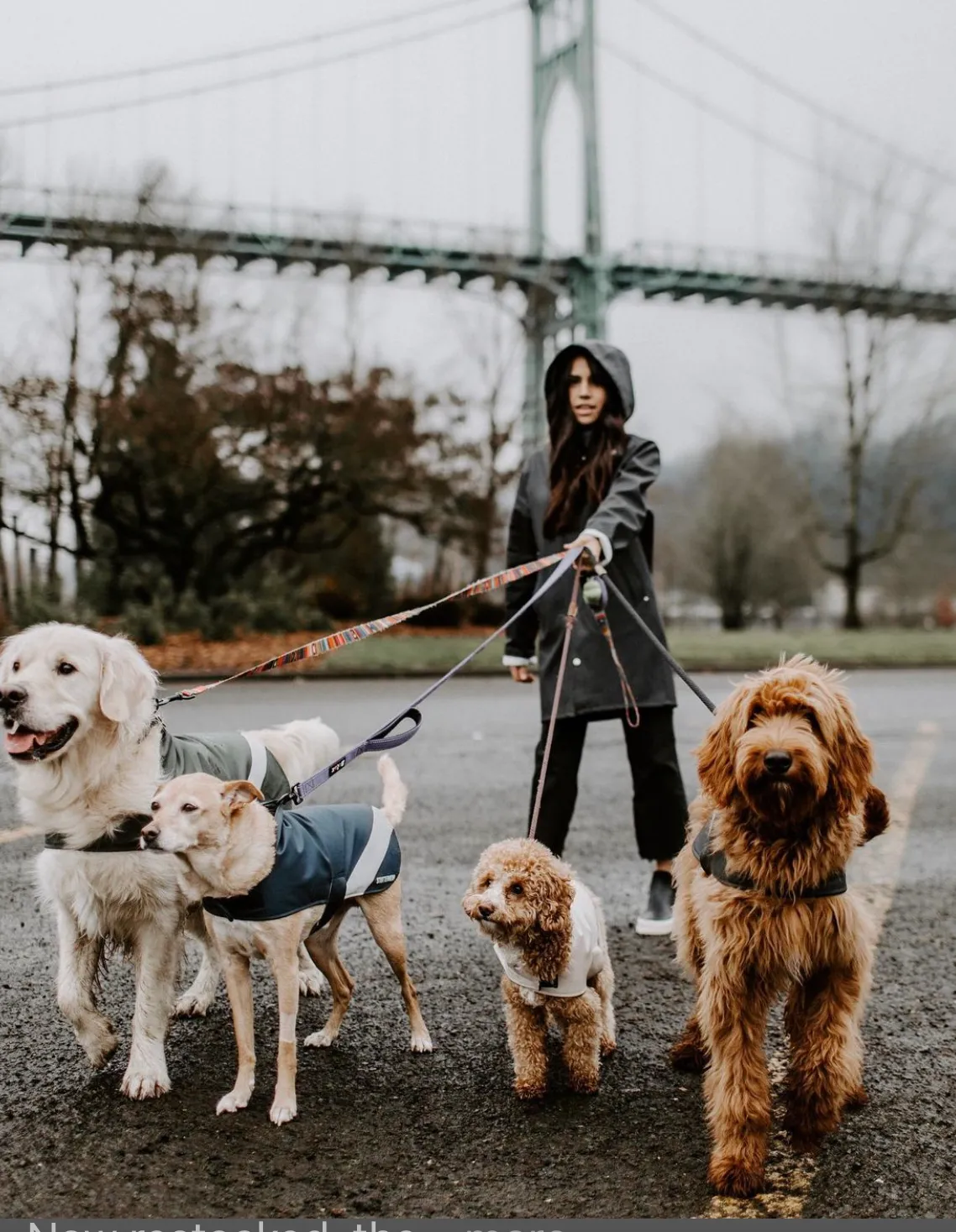 STUTTERHEIM Dog Raincoat 100% Rainproof