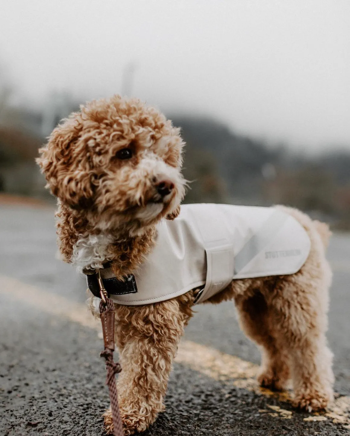 STUTTERHEIM Dog Raincoat 100% Rainproof